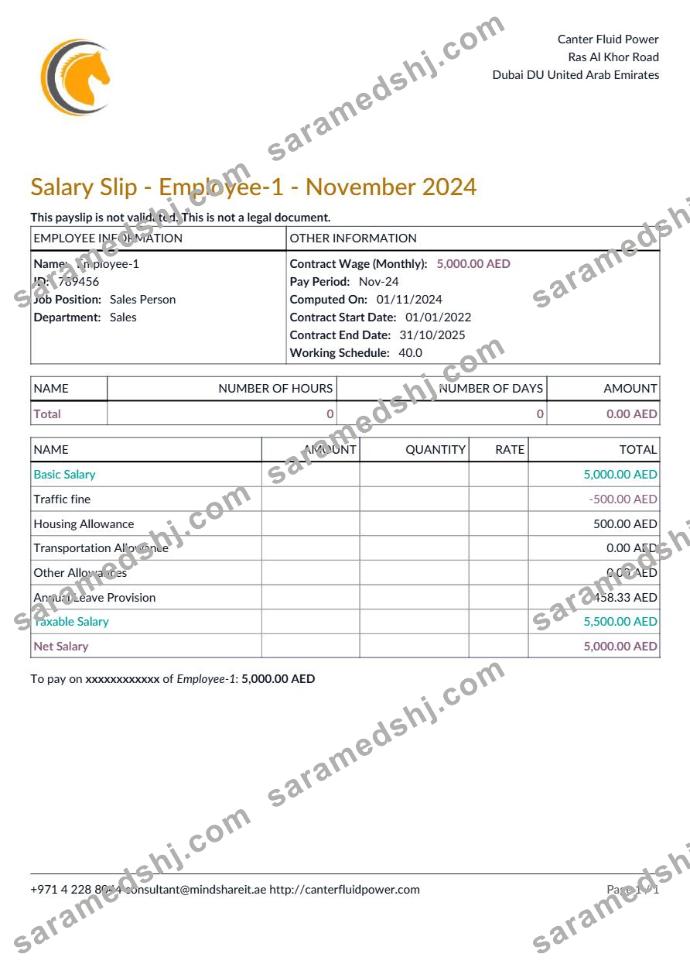 Canter Fluid Power payslip template in Word and PDF formats.pdf, 1